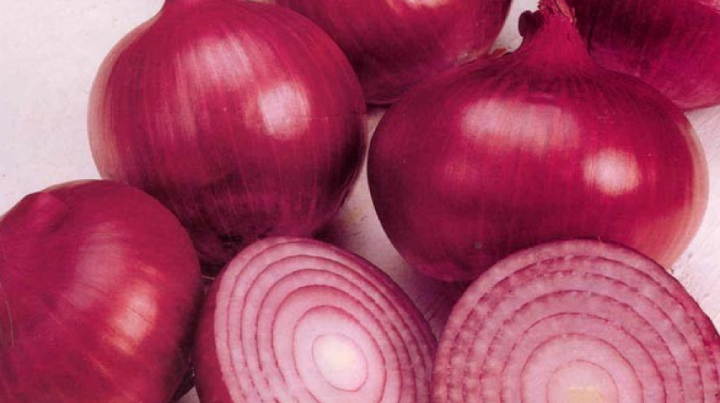 Iranian Red Onion - Export - Иранский красный лук - Экспорт