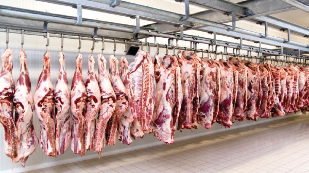  سیاست جدید قیمت گوشت و کاهش میدهد؟